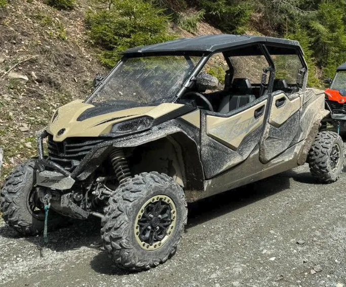 Închirieri Buggy Colibița - imagine 4
