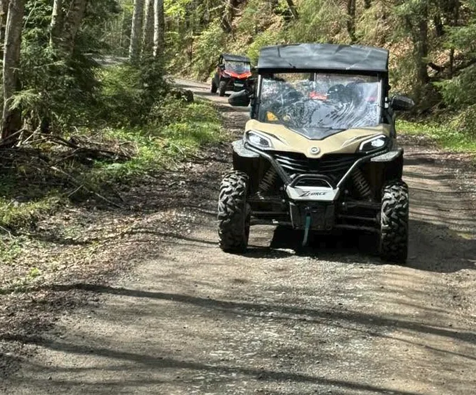 Închirieri Buggy Colibița - imagine 3