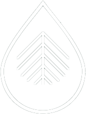 Pensiunea Izvorul Zanelor logo